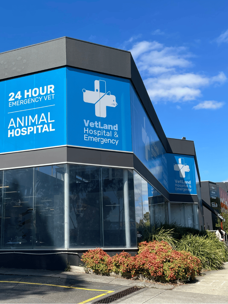 vetland-emergency-vet-centre-24-hour-after-hours-vet